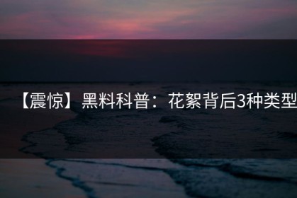 【震惊】黑料科普：花絮背后3种类型