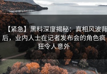 【紧急】黑料深度揭秘：真相风波背后，业内人士在记者发布会的角色疯狂令人意外