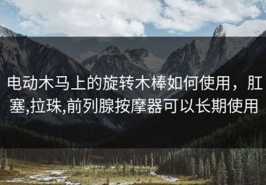 电动木马上的旋转木棒如何使用，肛塞,拉珠,前列腺按摩器可以长期使用