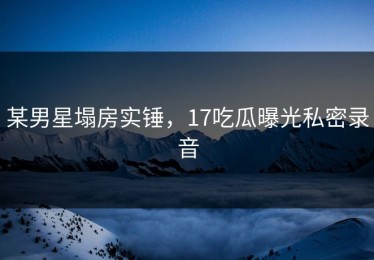 某男星塌房实锤，17吃瓜曝光私密录音
