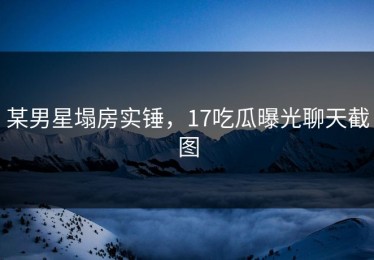 某男星塌房实锤，17吃瓜曝光聊天截图