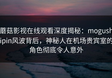 蘑菇影视在线观看深度揭秘：mogushipin风波背后，神秘人在机场贵宾室的角色彻底令人意外