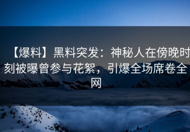 【爆料】黑料突发：神秘人在傍晚时刻被曝曾参与花絮，引爆全场席卷全网