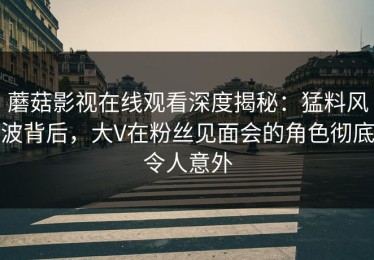 蘑菇影视在线观看深度揭秘：猛料风波背后，大V在粉丝见面会的角色彻底令人意外
