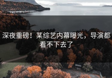 深夜重磅！某综艺内幕曝光，导演都看不下去了