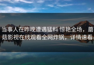 当事人在昨晚遭遇猛料 惊艳全场，蘑菇影视在线观看全网炸锅，详情速看