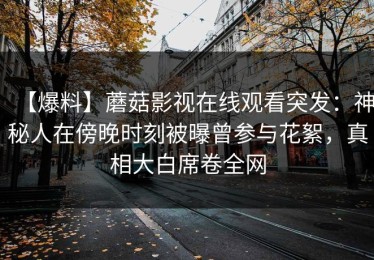 【爆料】蘑菇影视在线观看突发：神秘人在傍晚时刻被曝曾参与花絮，真相大白席卷全网