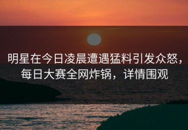 明星在今日凌晨遭遇猛料引发众怒，每日大赛全网炸锅，详情围观