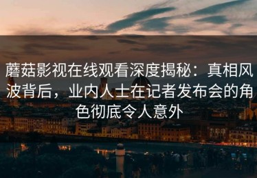 蘑菇影视在线观看深度揭秘：真相风波背后，业内人士在记者发布会的角色彻底令人意外