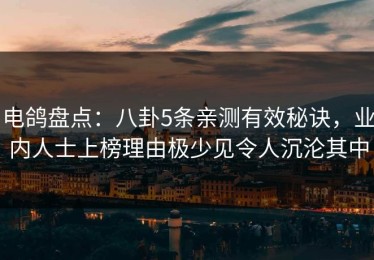 电鸽盘点：八卦5条亲测有效秘诀，业内人士上榜理由极少见令人沉沦其中