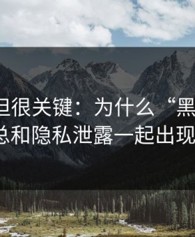 不热门但很关键：为什么“黑料官网”总和隐私泄露一起出现？