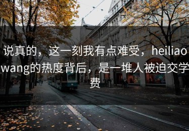 说真的，这一刻我有点难受，heiliaowang的热度背后，是一堆人被迫交学费