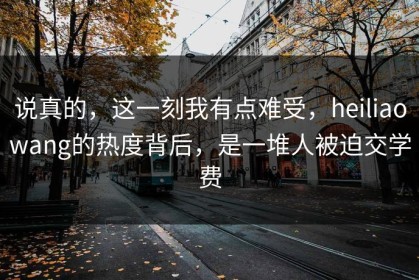说真的，这一刻我有点难受，heiliaowang的热度背后，是一堆人被迫交学费