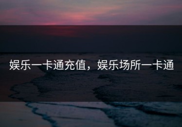 娱乐一卡通充值，娱乐场所一卡通