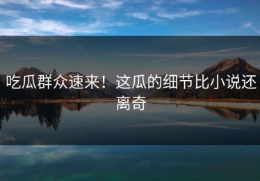 吃瓜群众速来！这瓜的细节比小说还离奇