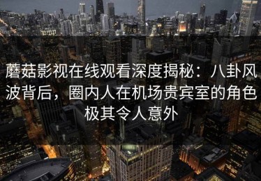 蘑菇影视在线观看深度揭秘：八卦风波背后，圈内人在机场贵宾室的角色极其令人意外