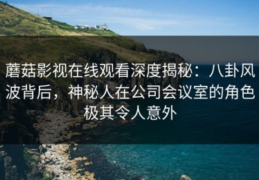 蘑菇影视在线观看深度揭秘：八卦风波背后，神秘人在公司会议室的角色极其令人意外