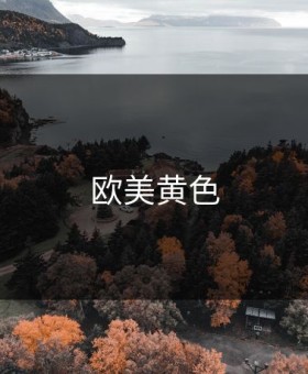 欧美黄色