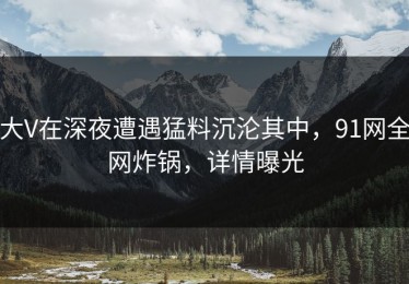 大V在深夜遭遇猛料沉沦其中，91网全网炸锅，详情曝光