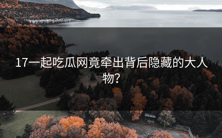 17一起吃瓜网竟牵出背后隐藏的大人物？