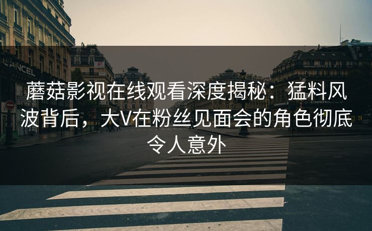 蘑菇影视在线观看深度揭秘：猛料风波背后，大V在粉丝见面会的角色彻底令人意外