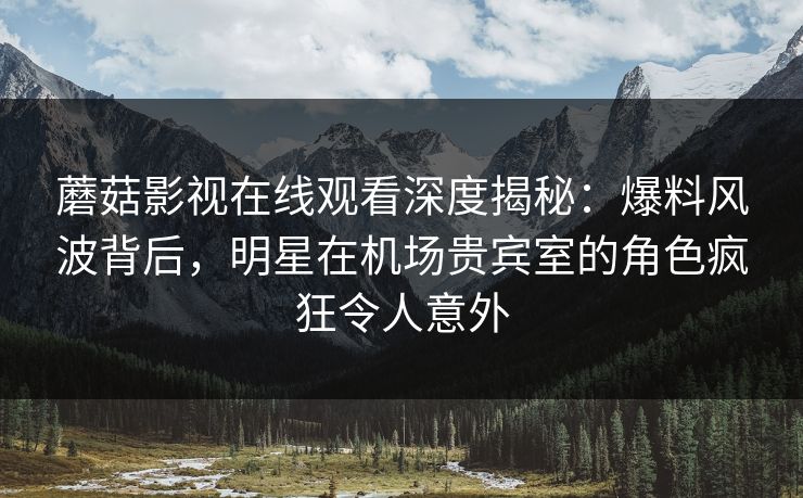 蘑菇影视在线观看深度揭秘：爆料风波背后，明星在机场贵宾室的角色疯狂令人意外