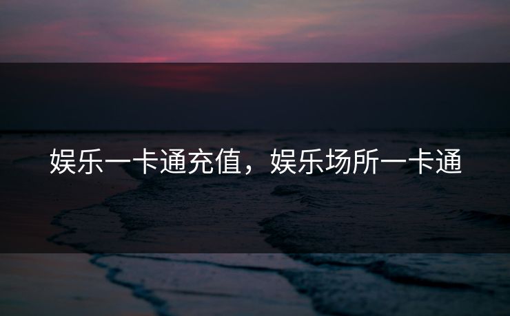 娱乐一卡通充值，娱乐场所一卡通