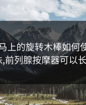 电动木马上的旋转木棒如何使用，肛塞,拉珠,前列腺按摩器可以长期使用