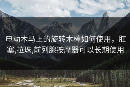 电动木马上的旋转木棒如何使用，肛塞,拉珠,前列腺按摩器可以长期使用
