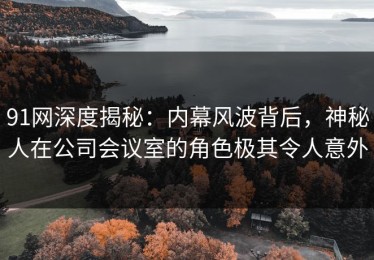 91网深度揭秘：内幕风波背后，神秘人在公司会议室的角色极其令人意外