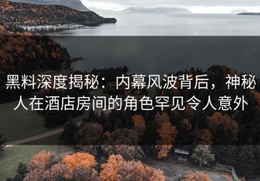 黑料深度揭秘：内幕风波背后，神秘人在酒店房间的角色罕见令人意外