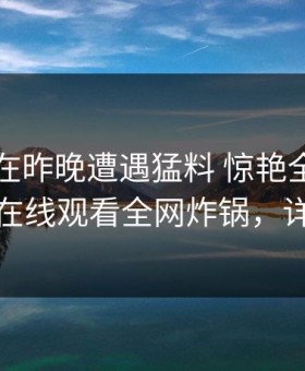 当事人在昨晚遭遇猛料 惊艳全场，蘑菇影视在线观看全网炸锅，详情速看