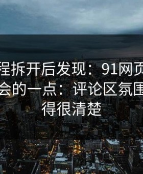 我把流程拆开后发现：91网页版最容易被误会的一点：评论区氛围其实写得很清楚