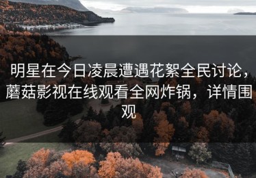 明星在今日凌晨遭遇花絮全民讨论，蘑菇影视在线观看全网炸锅，详情围观