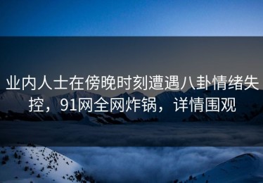 业内人士在傍晚时刻遭遇八卦情绪失控，91网全网炸锅，详情围观