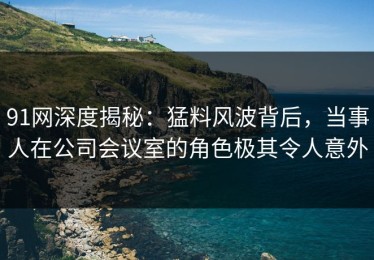 91网深度揭秘：猛料风波背后，当事人在公司会议室的角色极其令人意外