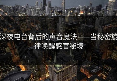 深夜电台背后的声音魔法——当秘密旋律唤醒感官秘境