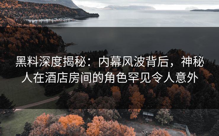 黑料深度揭秘：内幕风波背后，神秘人在酒店房间的角色罕见令人意外