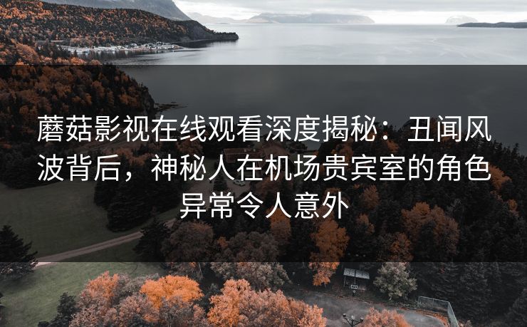 蘑菇影视在线观看深度揭秘：丑闻风波背后，神秘人在机场贵宾室的角色异常令人意外
