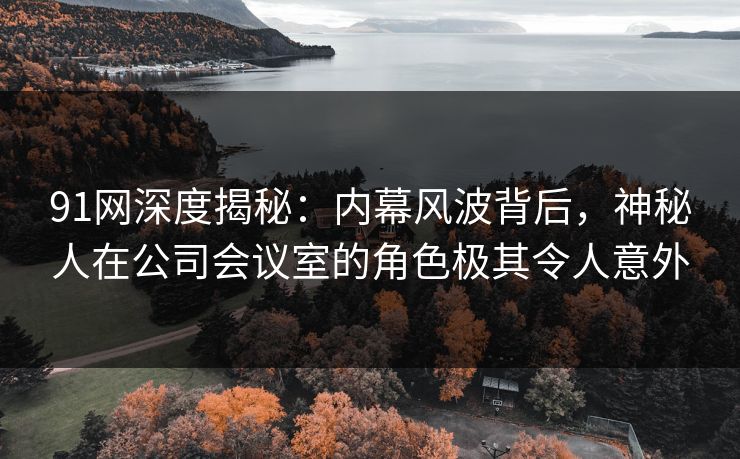 91网深度揭秘：内幕风波背后，神秘人在公司会议室的角色极其令人意外