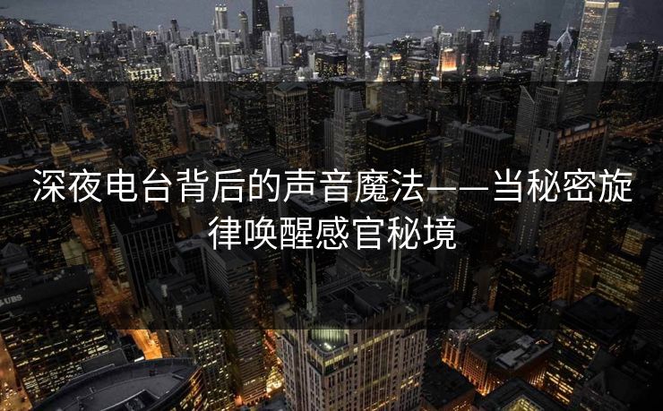 深夜电台背后的声音魔法——当秘密旋律唤醒感官秘境